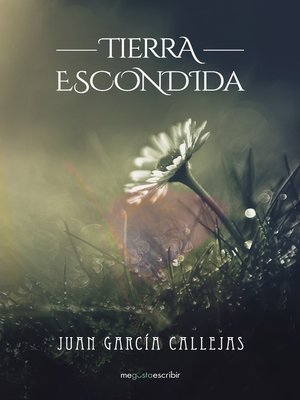 cover image of Tierra escondida